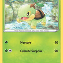 006/172 - Tortipouss