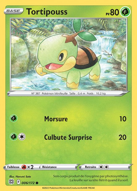 006/172 - Tortipouss