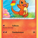 023/185 - Salamèche