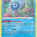 033/198 - Morphéo Forme Eau de Pluie