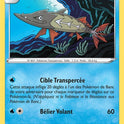 042/185 - Hastacuda