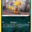 098/203 - Baggiguane