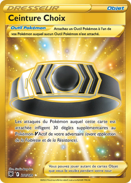 211/189 - Ceinture Choix