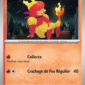 Magmar 9/91