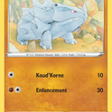 096/202 - Rhinocorne