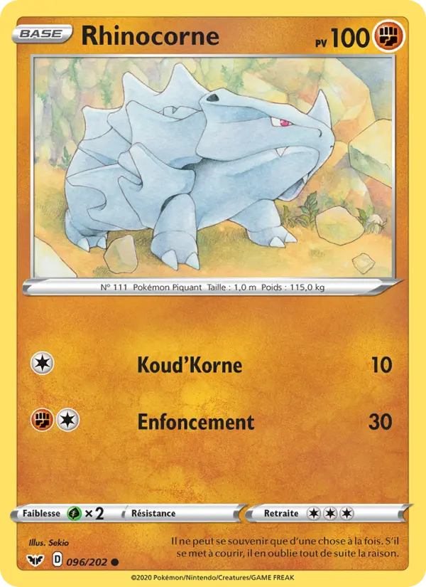 096/202 - Rhinocorne