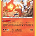 034/202 - Pyrobut