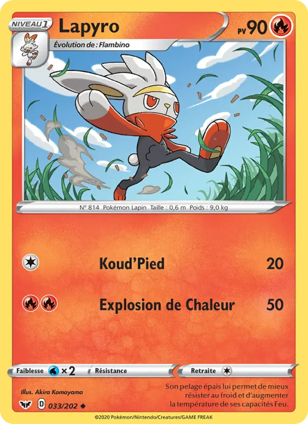033/202 - Lapyro