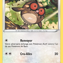 143/202 - Hoothoot