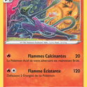 028/202 - Malamandre