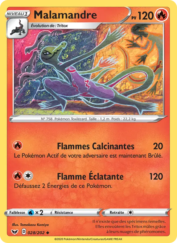 028/202 - Malamandre