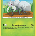 008/202 - Fermite